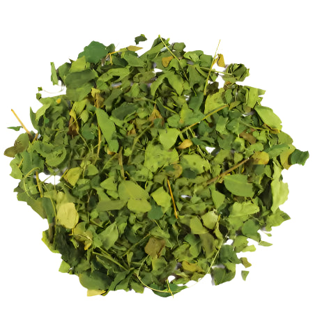 Moringa leaves